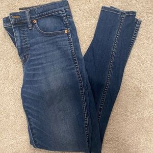 Madewell Blue Skinny Jeans size 27 TALL